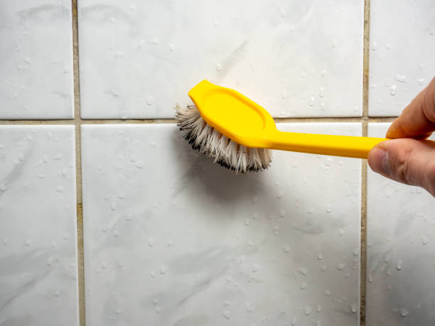Best Mold Removal Company Near Me  in Meadview, AZ