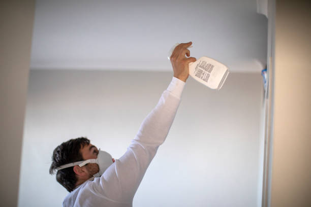 Best Black Mold Removal  in Meadview, AZ